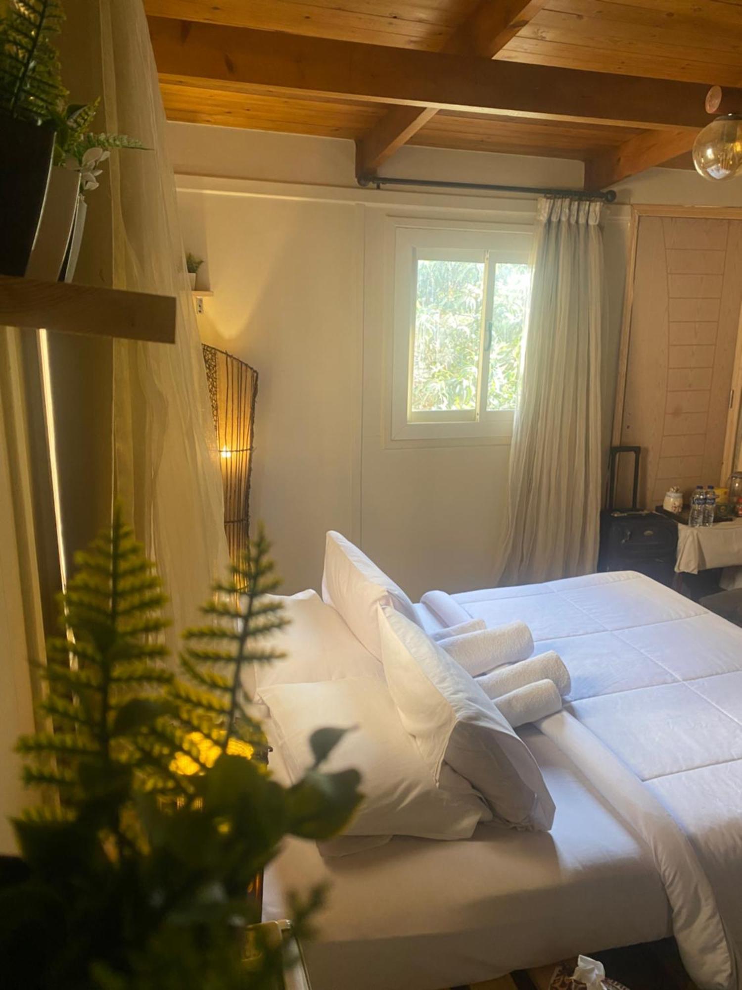 Airport Rooftop Club Luxurious Rooms And Studios Kairo Exteriör bild